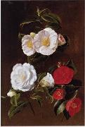 unknow artist Floral, beautiful classical still life of flowers 028 Spain oil painting artist